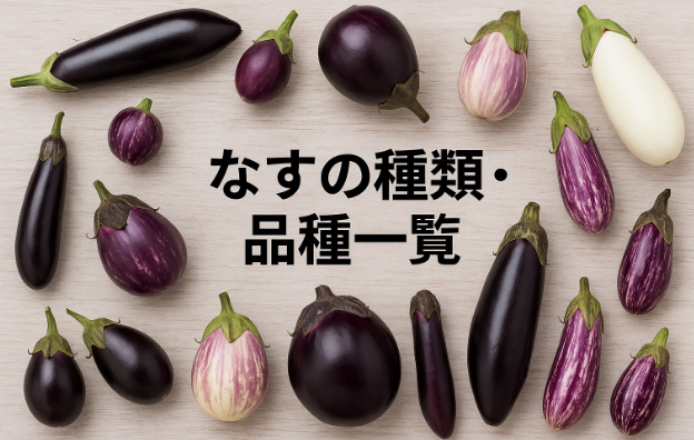 なすの種類品種一覧